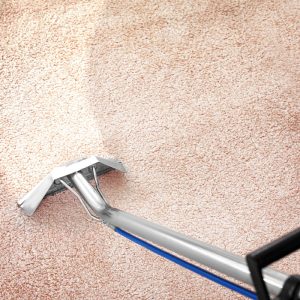 Professional Carpet Cleaning and Rug Cleaning in london